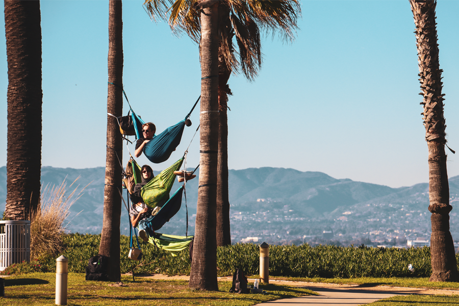 Three hammocks, containing students, hung between two palm trees on the edge of the bluff with Los Angeles in the background.